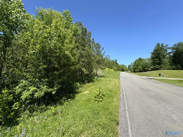 Scottsboro, AL 35769,2042 Lookout Mountain Drive