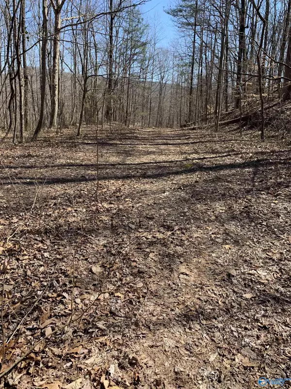 Gurley, AL 35748,14/3 acres Black Hawk