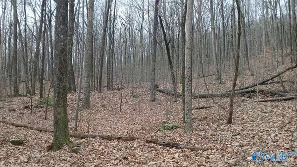 Gurley, AL 35748,14/3 acres Black Hawk