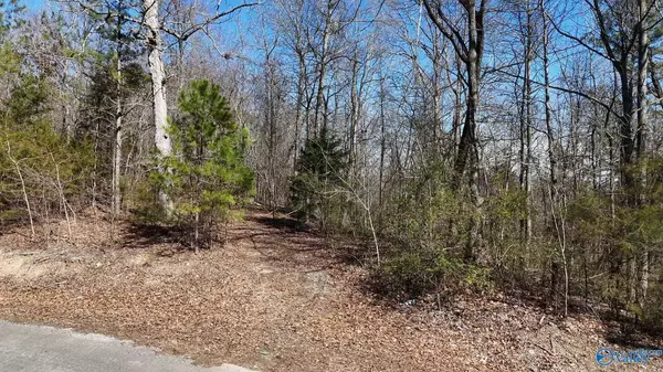 Scottsboro, AL 35768,23 N George Adams Road