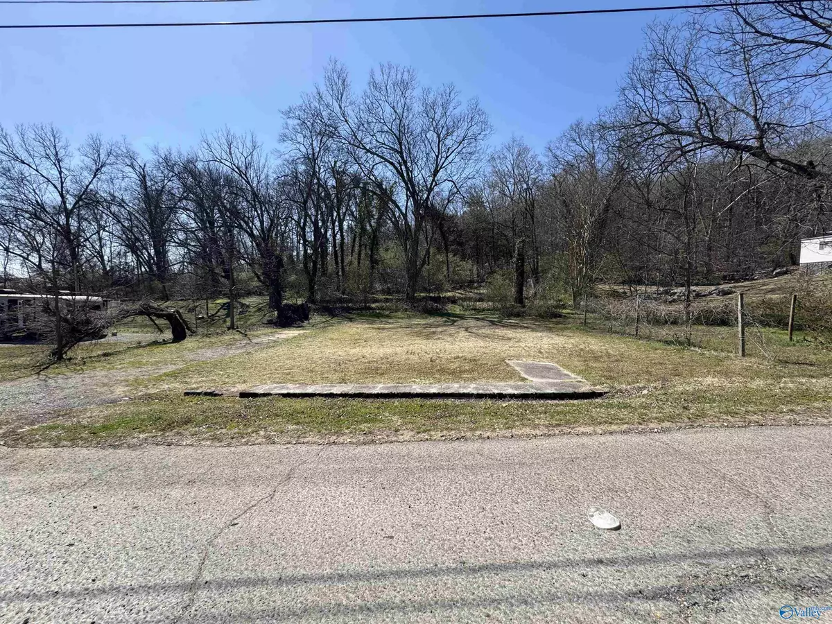 Stevenson, AL 35772,.42 Ac. Church Street