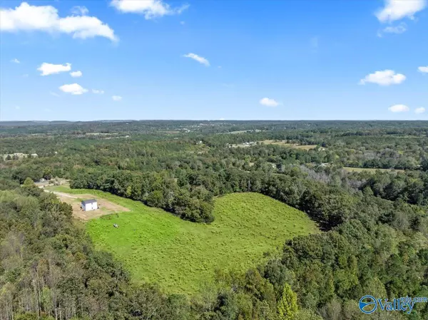 Arab, AL 35016,2403 Hog Jaw Road