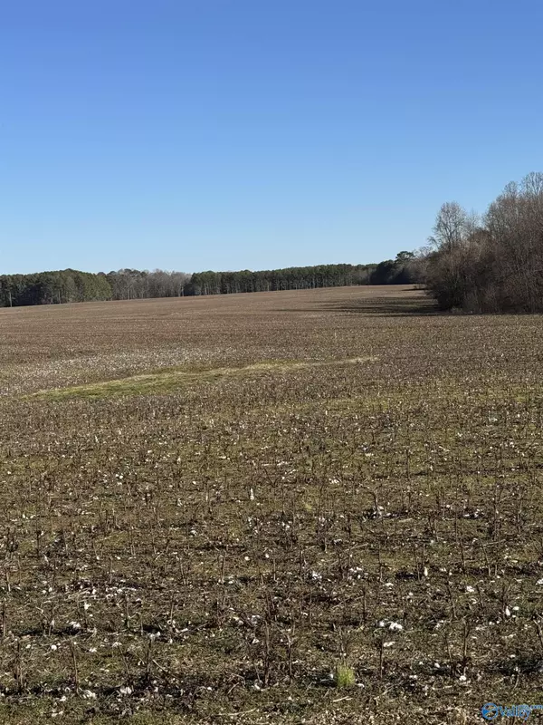 Centre, AL 35960,Lot 8 County Road 69