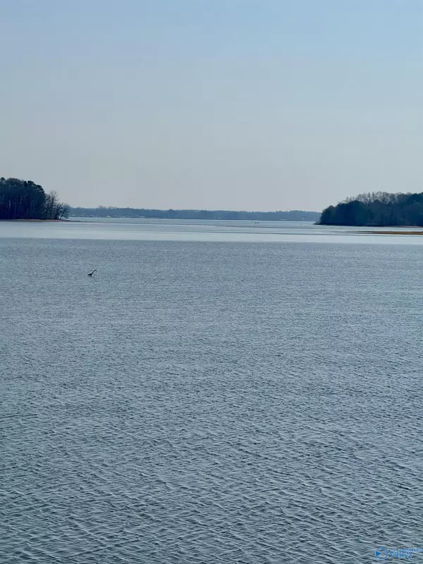 Hillsboro, AL 35643,103 County Road 444