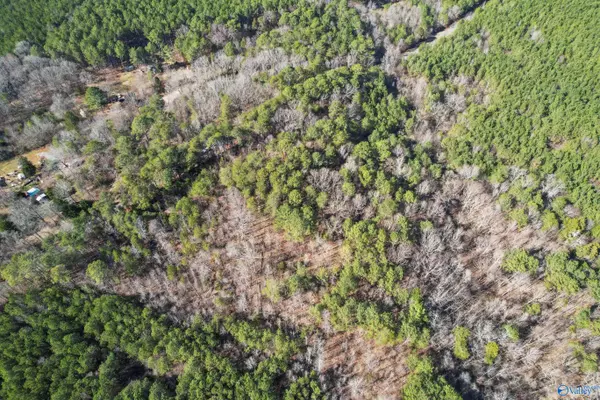 Langston, AL 35755,20 Acres Murphy Hill Road