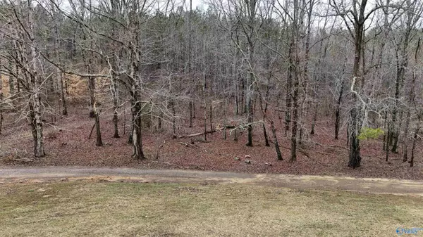 Altoona, AL 35952,1922 Jackson Trail