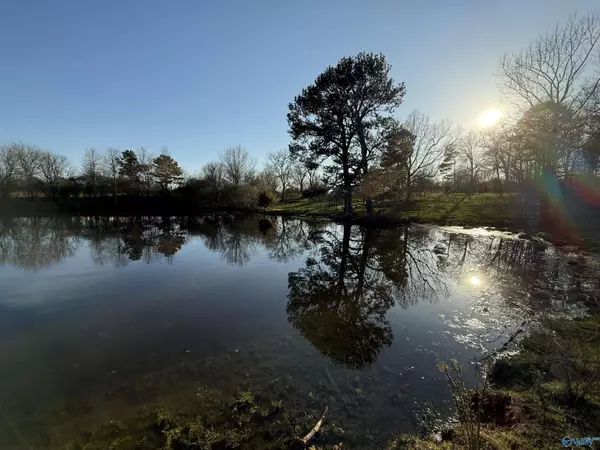 Hanceville, AL 35077,2663 County Road 643