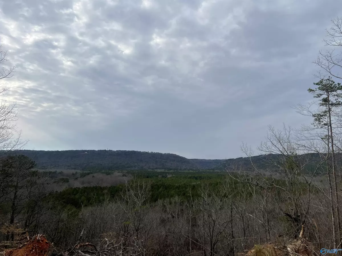 Cedar Bluff, AL 35959,1450 County Road 137