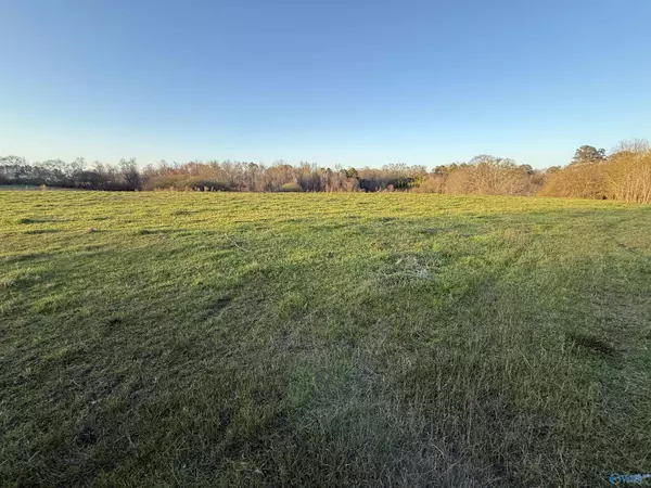 Hanceville, AL 35077,2663 001 County Road 643