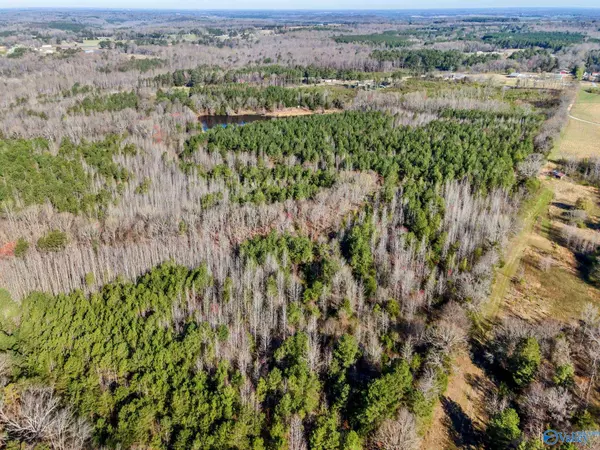 Town Creek, AL 35672,10354 Hwy 101