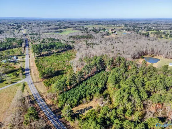 Town Creek, AL 35672,20 ACRES Hwy 101