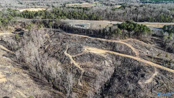 Hamilton, AL 35570,32 Acres Hwy 43