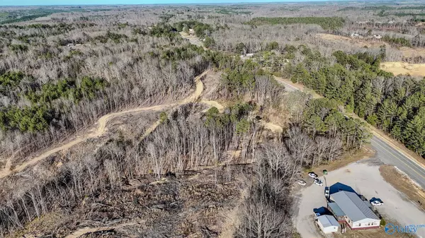 Hamilton, AL 35570,32 Acres Hwy 43