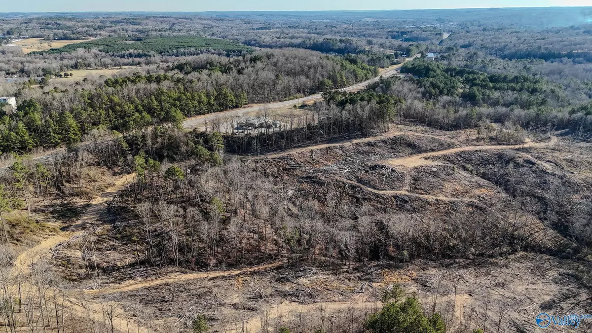 Hamilton, AL 35570,32 Acres Hwy 43