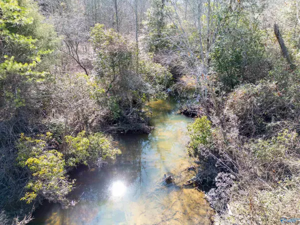 Flat Rock, AL 35966,233A County Road 326