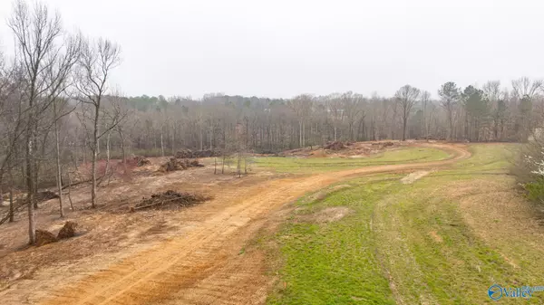 Falkville, AL 35622,663 Holmes Road