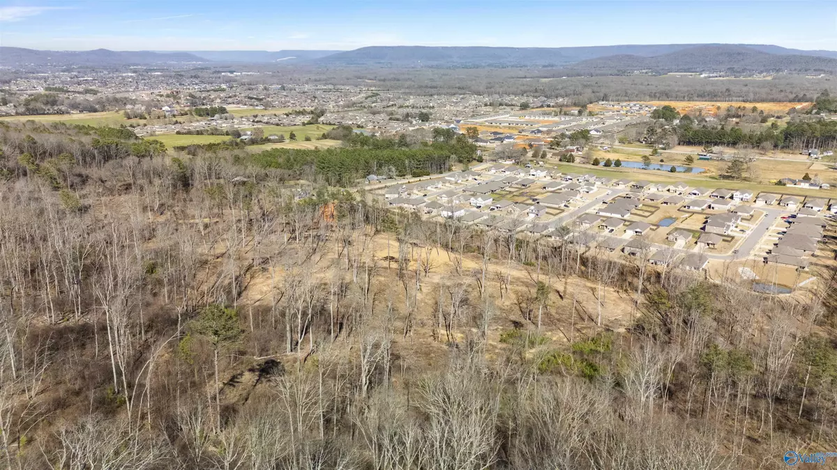 Owens Cross Roads, AL 35763,43 Acres Worley Drive