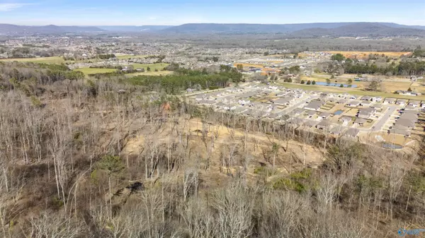 43 Acres Worley Drive, Owens Cross Roads, AL 35763