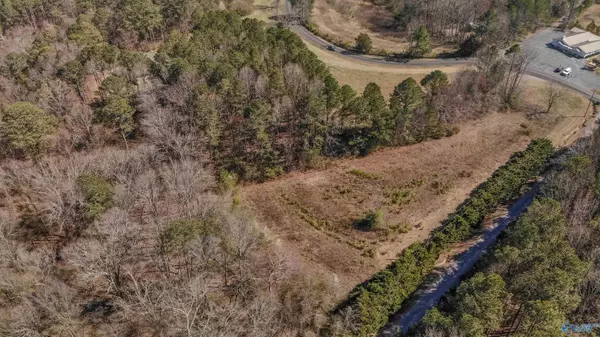 Guntersville, AL 35976,Lot 3 Wyeth Mountain Road