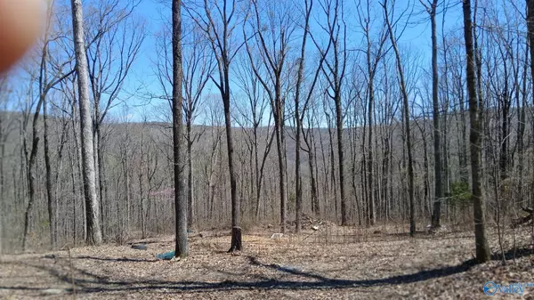 377 Blowing Cave Road, Gurley, AL 35748