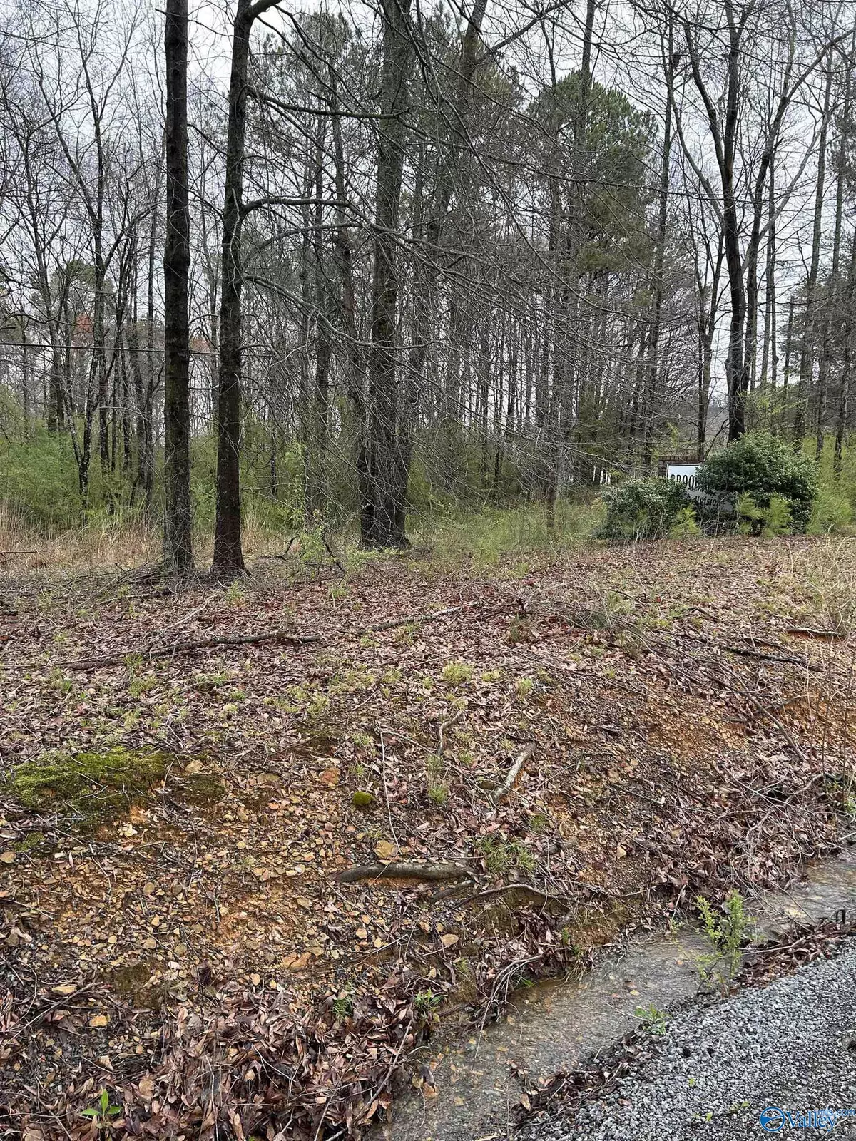 Cleveland, AL 35049,Lot 10, 0.95 ac Dry Creek Road