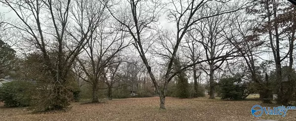 +/- .60 New Hope Cedar Point Road, New Hope, AL 35760