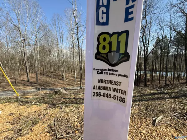 Centre, AL 35960,Lot 4 County Road 155