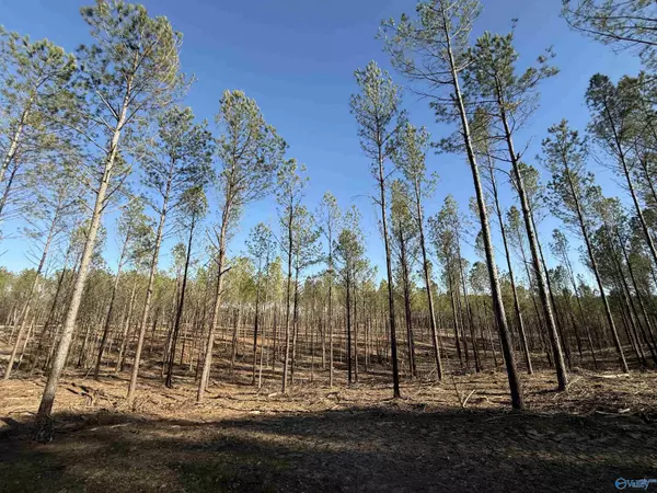 Centre, AL 35960,Lots A9 and A10 County Road 155