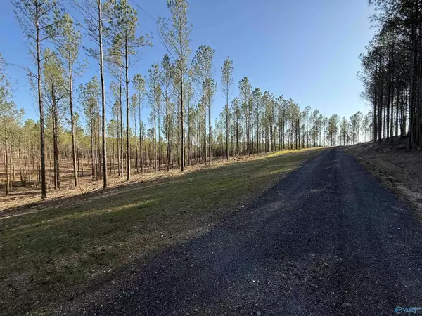 Centre, AL 35960,Lots A9 and A10 County Road 155