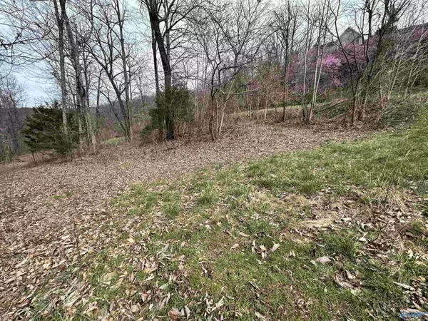 Fort Payne, AL 35967,lot 5 Rosewood Drive