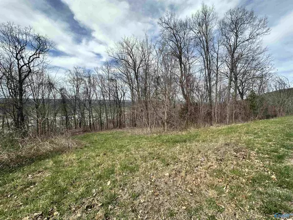 lot 5 Rosewood Drive, Fort Payne, AL 35967