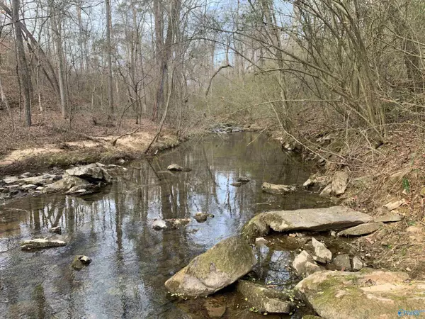 Albertville, AL 35950,4718 Oneonta Cut-Off Road