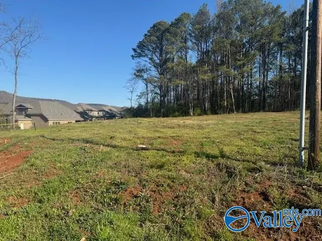 Owens Cross Roads, AL 35763,145 Knotty Walls Road