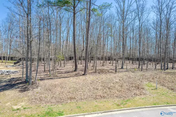 Huntsville, AL 35803,9 Winter Walk Way SE