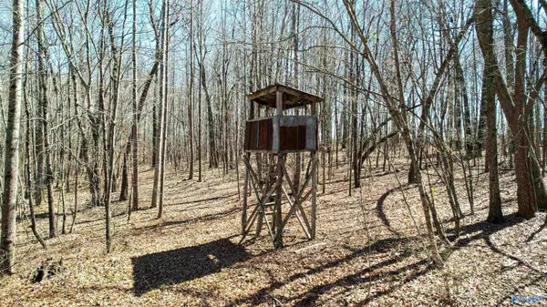 Henagar, AL 35978,40 acres County Road 492