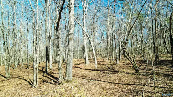 Henagar, AL 35978,40 acres County Road 492