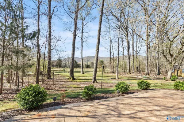 601 Pond View Lane, Brownsboro, AL 35741