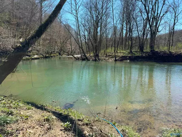 21719 Alabama Highway 65, Estill Fork, AL 35745