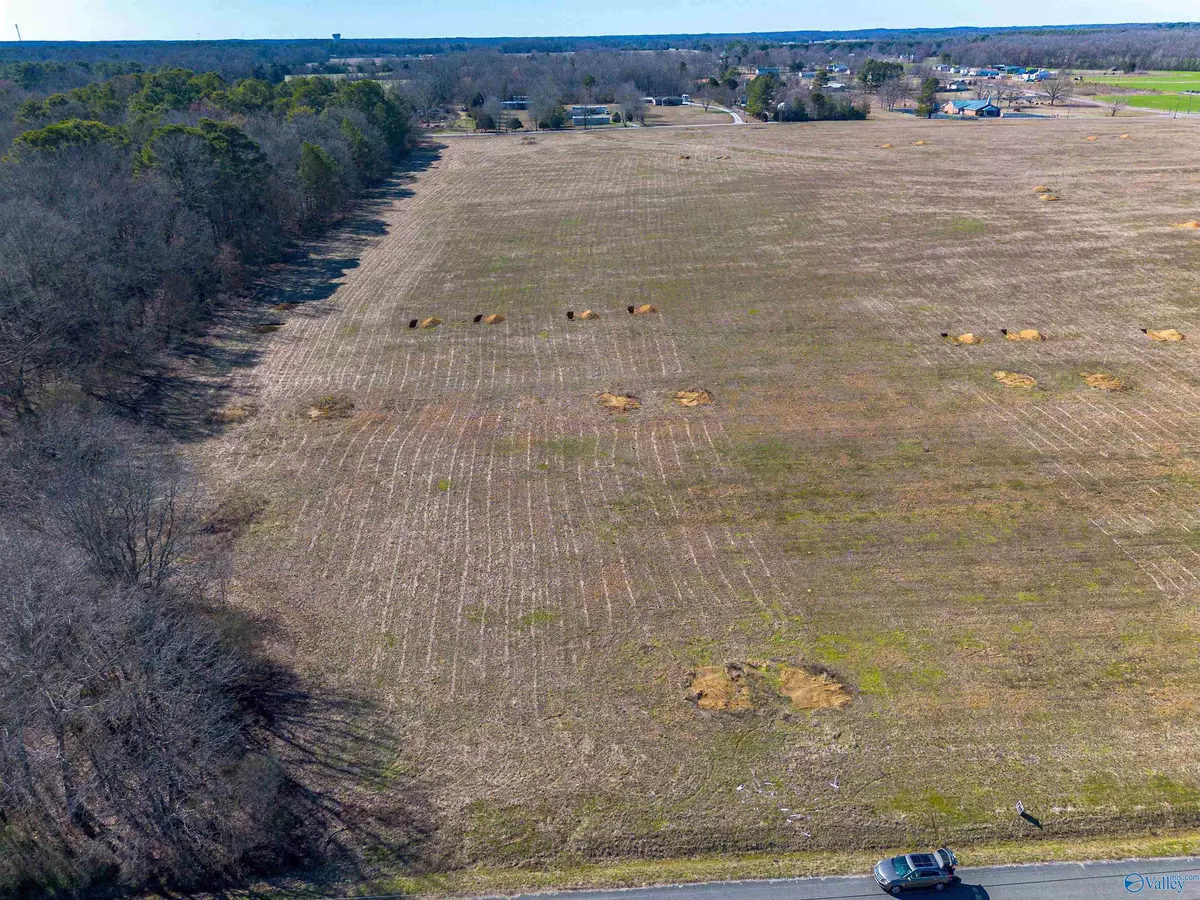 Hazel Green, AL 35750,116 Treva Lane