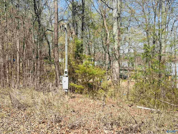 Cedar Bluff, AL 35959,115 County Road 714