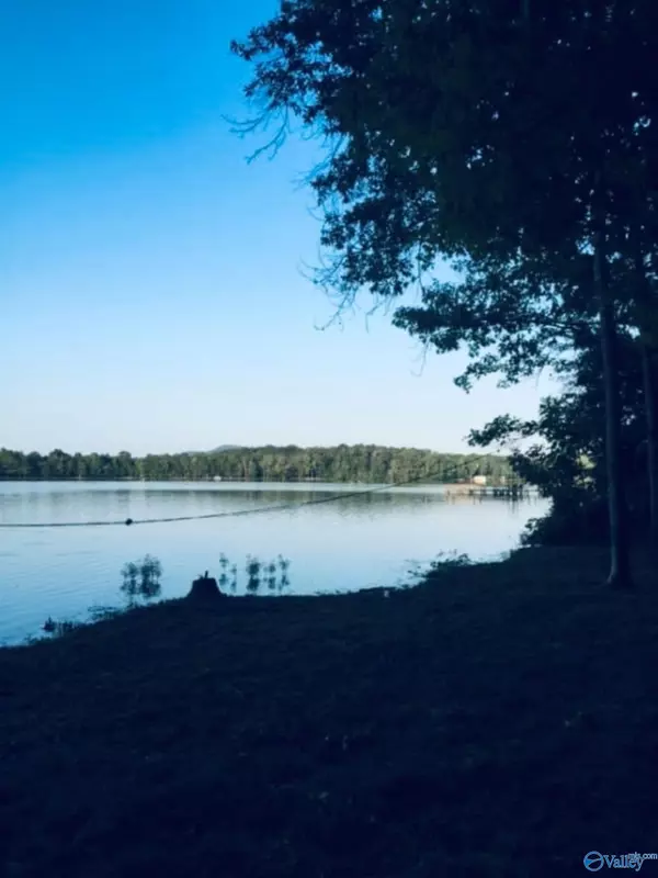 Cedar Bluff, AL 35959,115 County Road 714