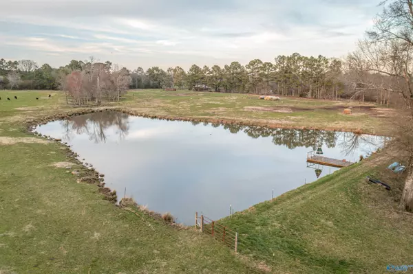 Pisgah, AL 35765,41 Acres County Road 164