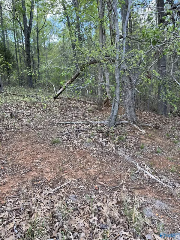 Scottsboro, AL 35769,2216 Lookout Mountain Drive