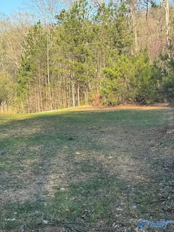 Glencoe, AL 35905,32 Sibert Drive