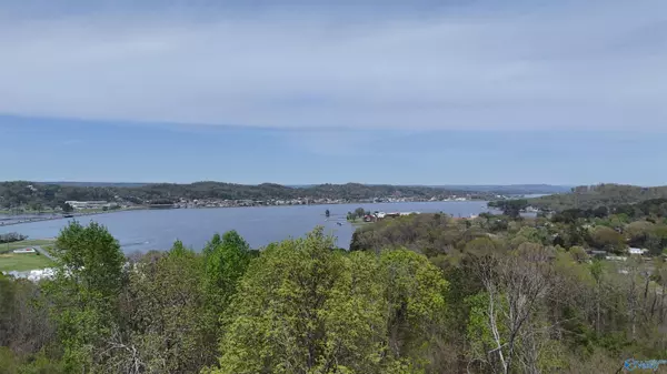 Guntersville, AL 35976,Lot 2 Woodvue Road