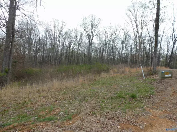 Killen, AL 35645,.50 Stone Run