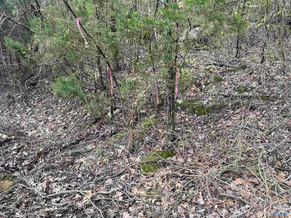 New Market, AL 35761,3.6 Acres Lewis Mountain Road