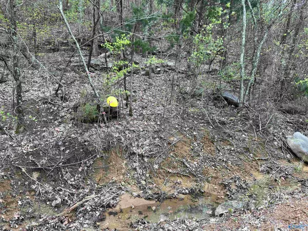 New Market, AL 35761,3.6 Acres Lewis Mountain Road