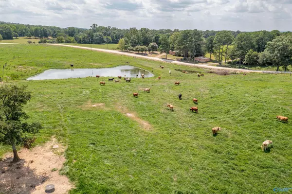 Boaz, AL 35956,64 Acres +/- Bluff Road