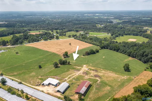Boaz, AL 35956,64 Acres +/- Bluff Road
